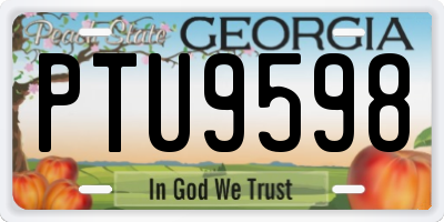 GA license plate PTU9598