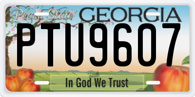 GA license plate PTU9607