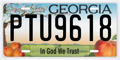 GA license plate PTU9618