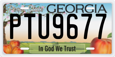 GA license plate PTU9677