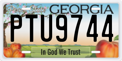 GA license plate PTU9744