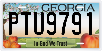 GA license plate PTU9791