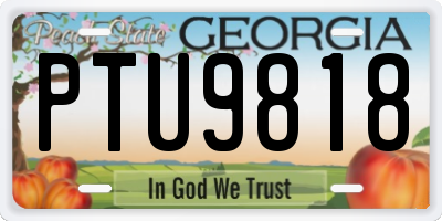 GA license plate PTU9818