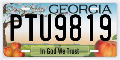GA license plate PTU9819