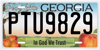 GA license plate PTU9829