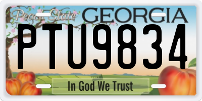 GA license plate PTU9834