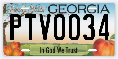 GA license plate PTV0034