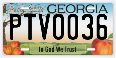 GA license plate PTV0036