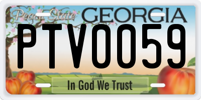 GA license plate PTV0059