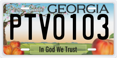 GA license plate PTV0103