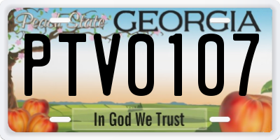 GA license plate PTV0107
