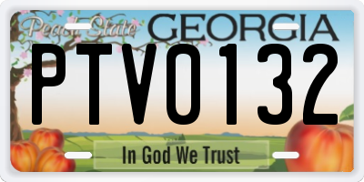 GA license plate PTV0132