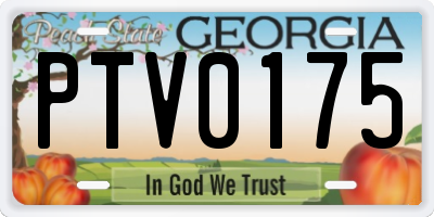 GA license plate PTV0175