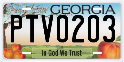 GA license plate PTV0203