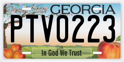 GA license plate PTV0223