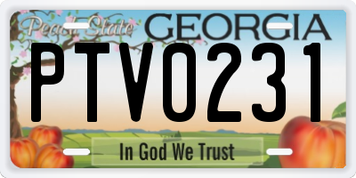 GA license plate PTV0231
