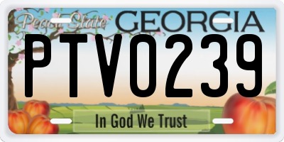 GA license plate PTV0239