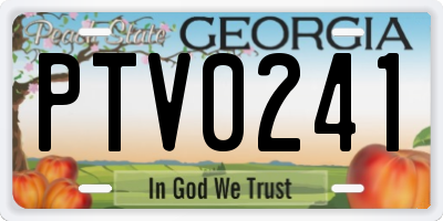 GA license plate PTV0241