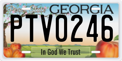 GA license plate PTV0246