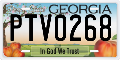 GA license plate PTV0268