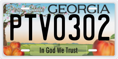 GA license plate PTV0302