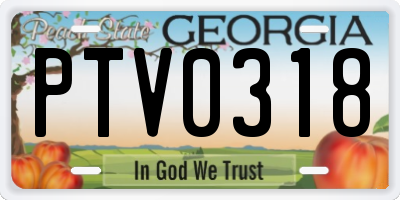 GA license plate PTV0318