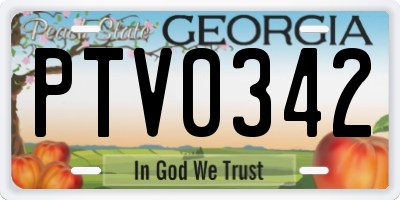GA license plate PTV0342