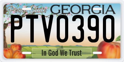 GA license plate PTV0390