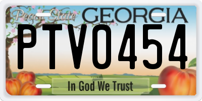 GA license plate PTV0454
