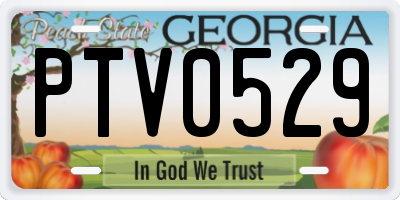 GA license plate PTV0529