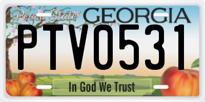 GA license plate PTV0531