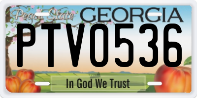 GA license plate PTV0536