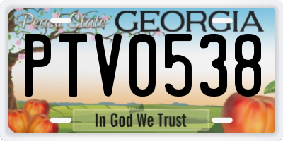 GA license plate PTV0538