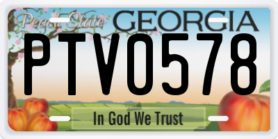 GA license plate PTV0578