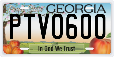 GA license plate PTV0600