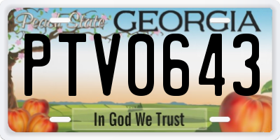 GA license plate PTV0643
