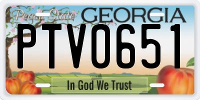 GA license plate PTV0651