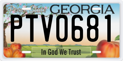 GA license plate PTV0681