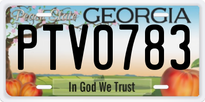 GA license plate PTV0783