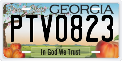 GA license plate PTV0823