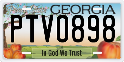 GA license plate PTV0898