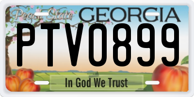 GA license plate PTV0899