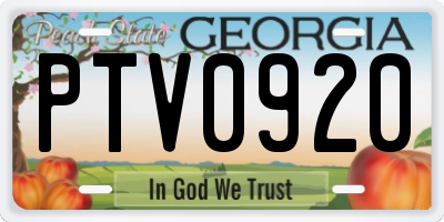 GA license plate PTV0920