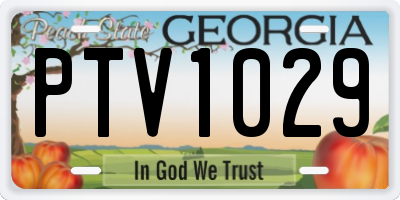 GA license plate PTV1029