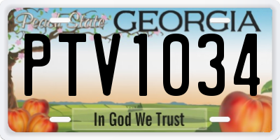 GA license plate PTV1034