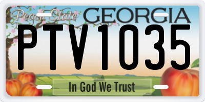 GA license plate PTV1035
