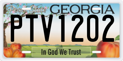 GA license plate PTV1202