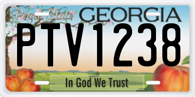 GA license plate PTV1238