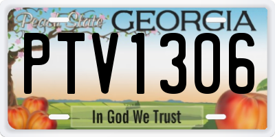 GA license plate PTV1306