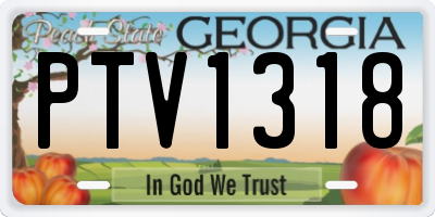GA license plate PTV1318
